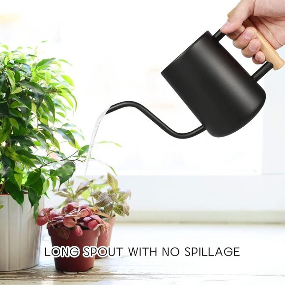 Watering Can for Indoor Plants, 35 oz/1000 ml Metal Stainless Steel Pot with Lon - Picture 3 of 7